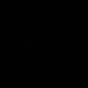 Meet your Posher, Leonard